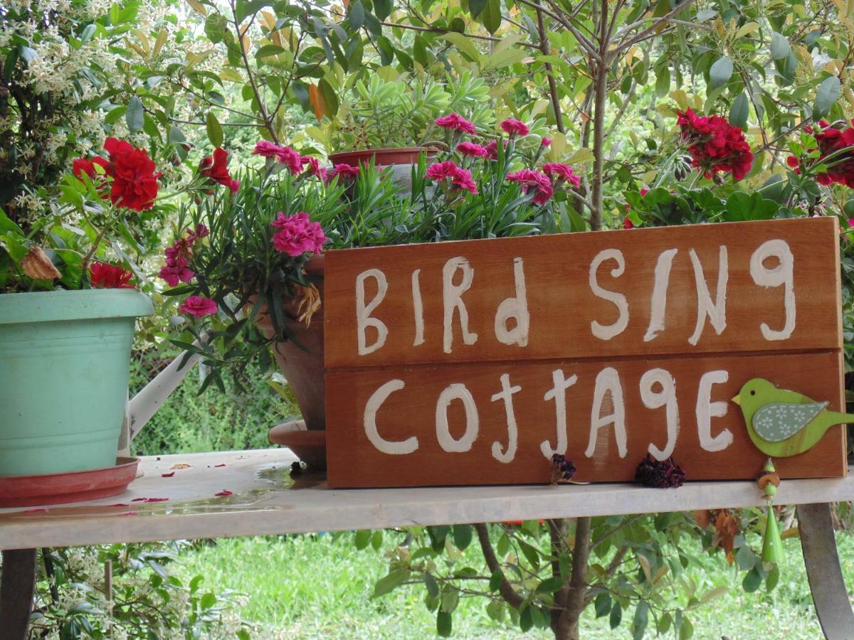 Birdsing Cottage Дассия Экстерьер фото